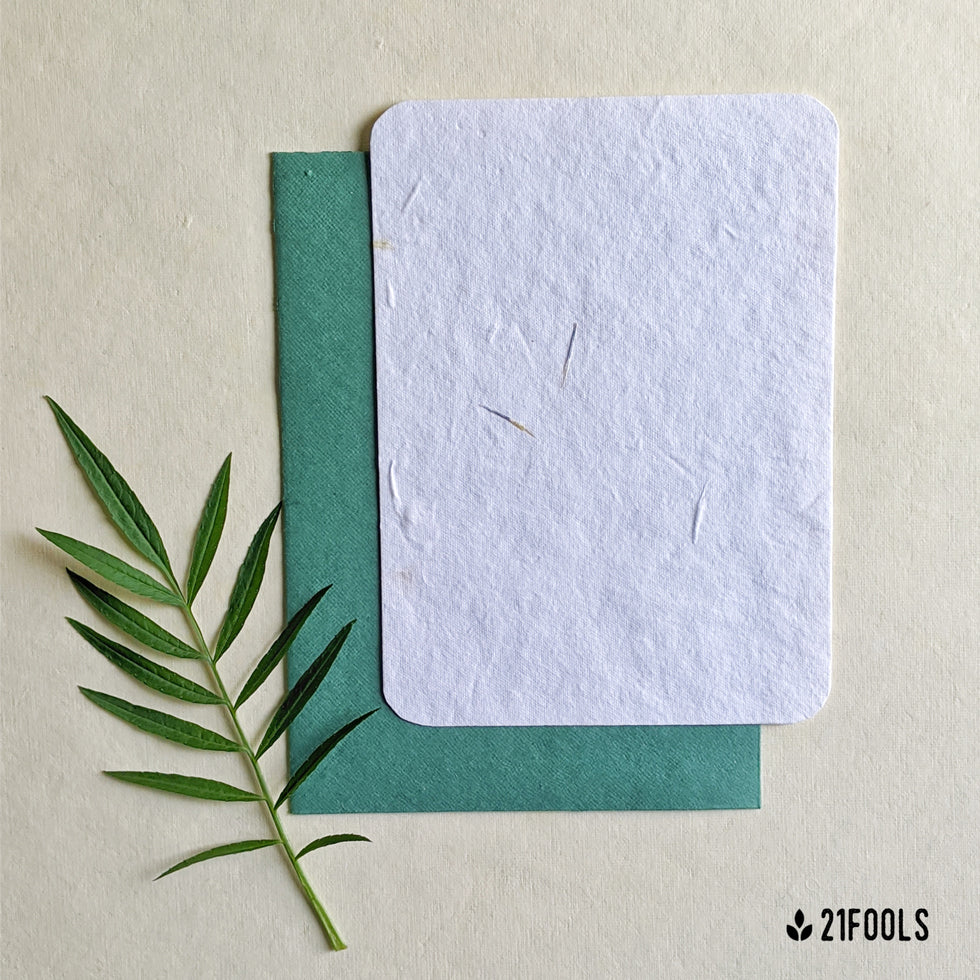 Plantable Seed Paper with Envelope (Blank) - Pack of 5 / Turquoise – 21  Fools